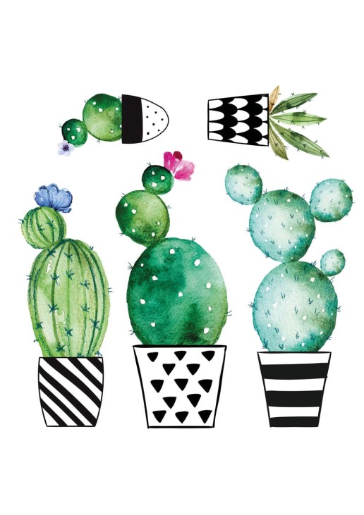 Watercolour Cactus αυτοκόλλητα τοίχου βινυλίου ANGO