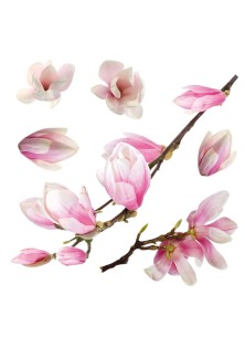 Magnolia αυτοκόλλητα βινυλίου για τζάμι ANGO